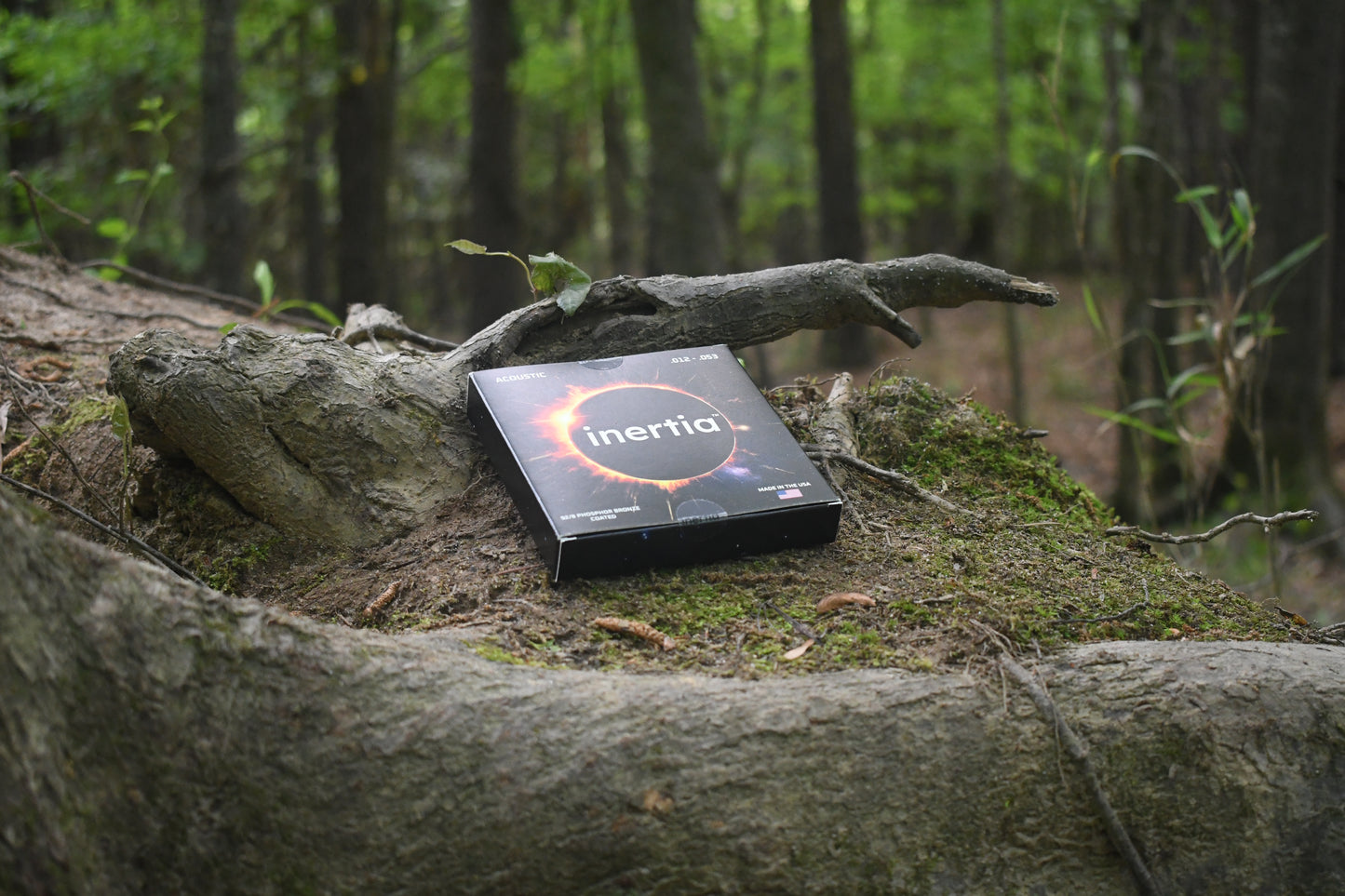 Inertia Acoustic Guitar Strings .012-.053 92/8 Phosphor Bronze Coated - Light